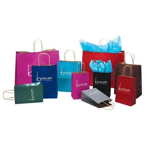 McGowen Displays, Inc | Paper Handle Bags
