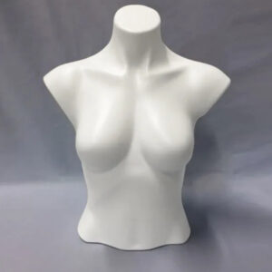 Ladies White Blouse Form